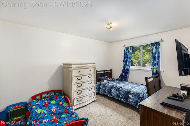 41173 Cimarron St, Clinton Township, MI 48038 - bedroom with carpet flooring