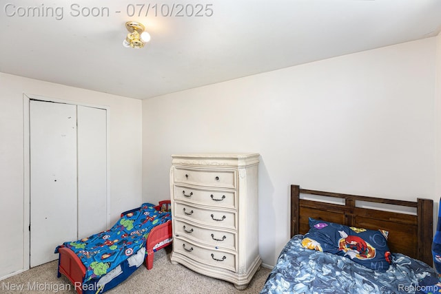 41173 Cimarron St, Clinton Township, MI 48038 - bedroom with carpet flooring and a closet