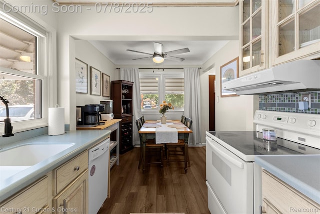 8960 Niver Ave, Allen Park, MI 48101 - kitchen with white appliances, dark wood-style floors, a ceiling fan, glass insert cabinets, and under cabinet range hood