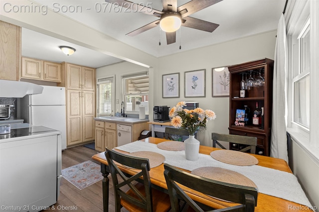 8960 Niver Ave, Allen Park, MI 48101 - dining room featuring wood finished floors and a ceiling fan