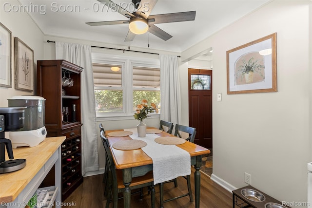 8960 Niver Ave, Allen Park, MI 48101 - dining space featuring a ceiling fan, dark wood finished floors, and plenty of natural light