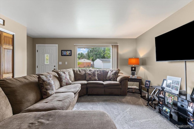 22031 Birch St, Woodhaven, MI 48183 - living room featuring carpet