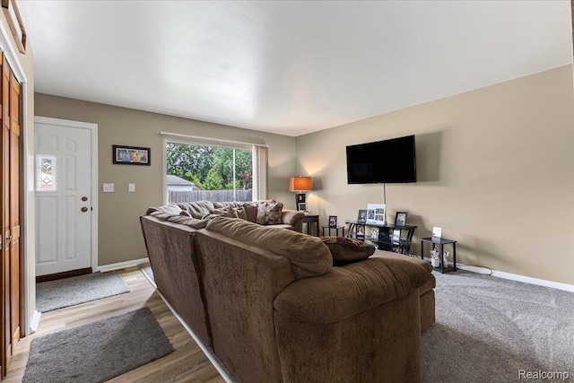22031 Birch St, Woodhaven, MI 48183 - living room featuring baseboards and wood finished floors