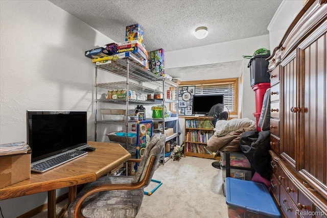 22031 Birch St, Woodhaven, MI 48183 - carpeted office space with a textured ceiling and a textured wall