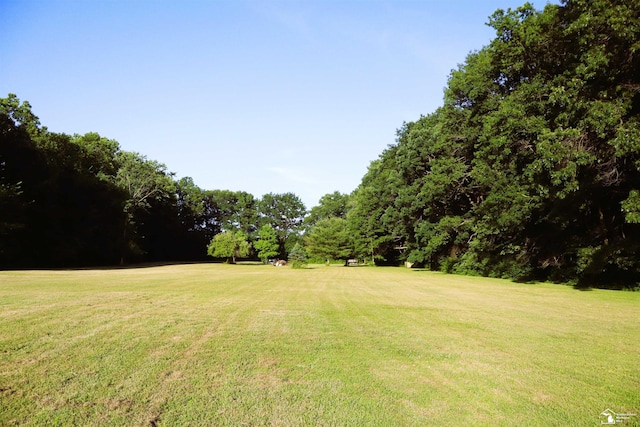 13578 Strasburg Rd, La Salle, MI 48145 - view of grassy yard