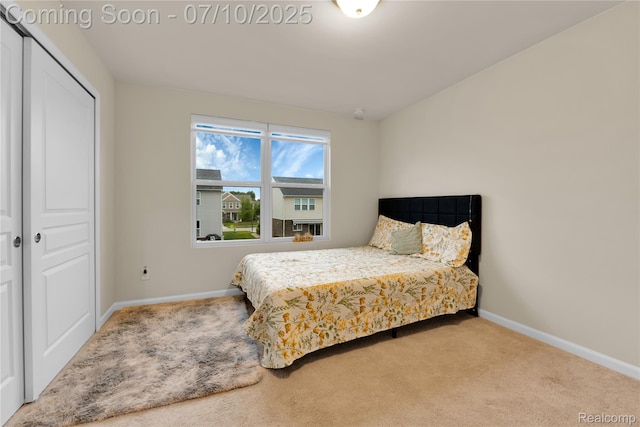 49633 Malten Dr, Macomb, MI 48044 - photo 28