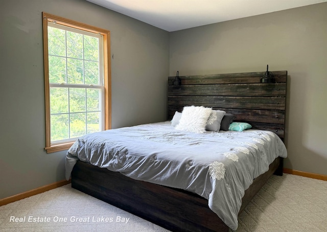 11540 Saddlebrook Cir, Freeland, MI 48623 - carpeted bedroom featuring baseboards