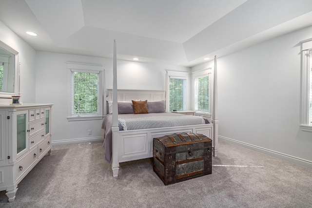 3603 Elk Ct, Zeeland, MI 49464 - bedroom with a tray ceiling, carpet, multiple windows, and recessed lighting