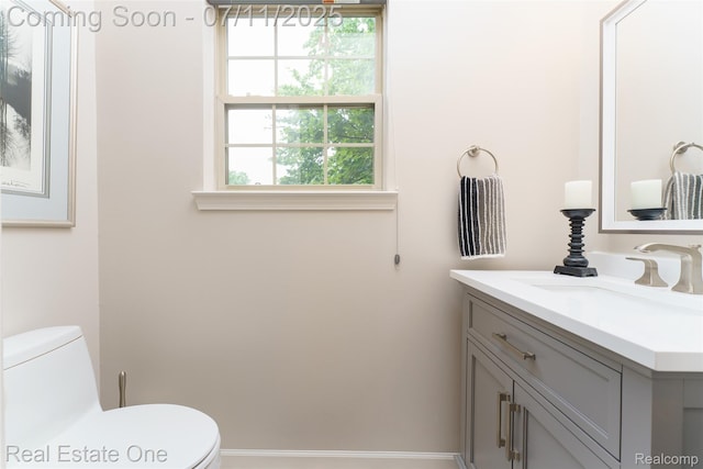 105 S 2nd St, Brighton, MI 48116 - bathroom with toilet and vanity
