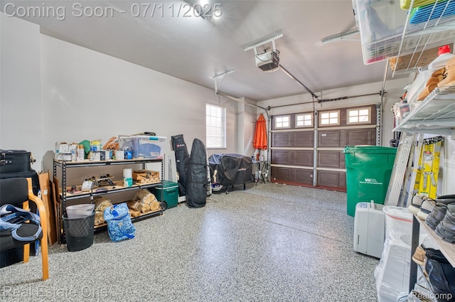 105 S 2nd St, Brighton, MI 48116 - garage featuring a garage door opener