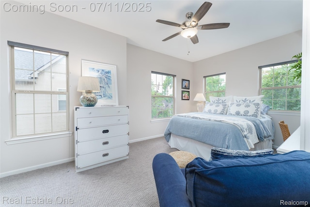 105 S 2nd St, Brighton, MI 48116 - carpeted bedroom featuring baseboards and ceiling fan