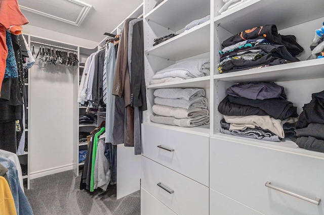 5775 Libby Ct, Dexter, MI 48130 - spacious closet with attic access and carpet flooring