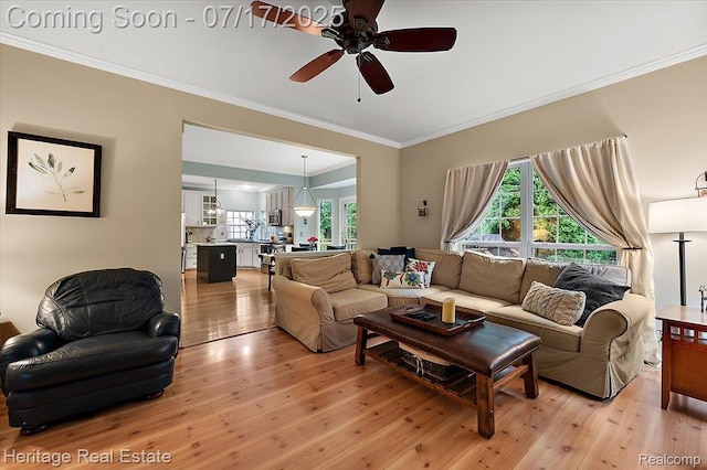 3066 Waldon Park Dr, Orion, MI 48359 - living room with ceiling fan, crown molding, and light wood finished floors