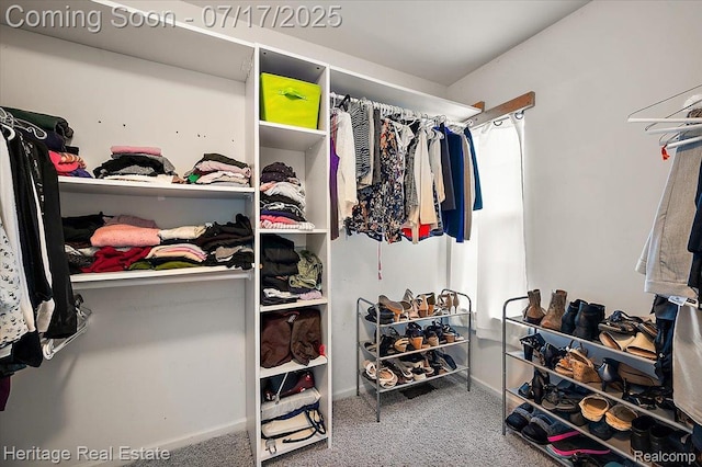 3066 Waldon Park Dr, Orion, MI 48359 - walk in closet featuring carpet floors