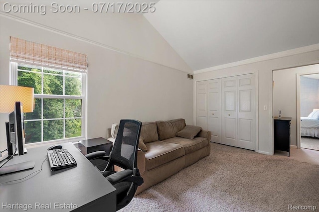 3066 Waldon Park Dr, Orion, MI 48359 - carpeted home office with high vaulted ceiling