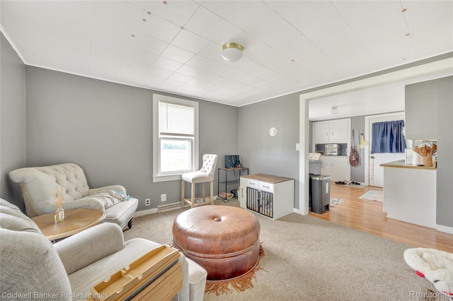 4677 Imlay City Rd, Attica, MI 48412 - living room featuring light colored carpet and baseboards