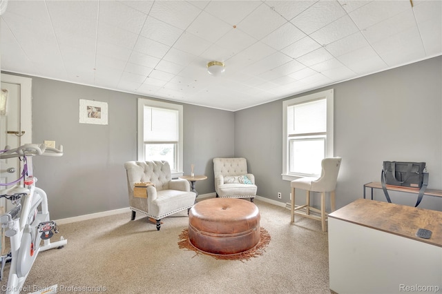 4677 Imlay City Rd, Attica, MI 48412 - living area with baseboards and carpet