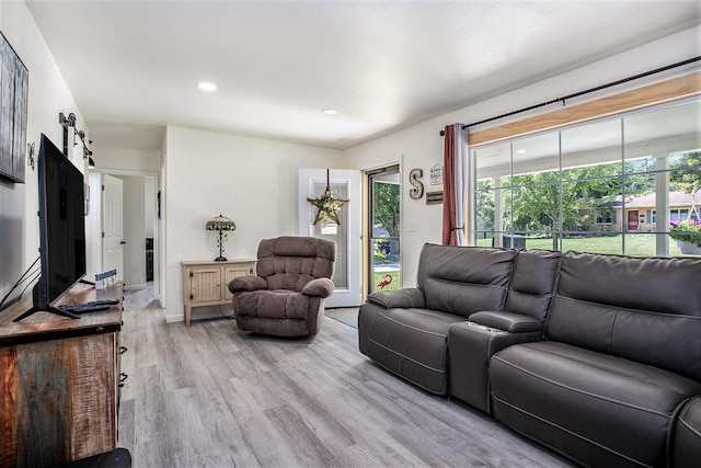 320 E Dr, Marshall, MI 49068 - living room with light wood-style floors, recessed lighting, and a barn door