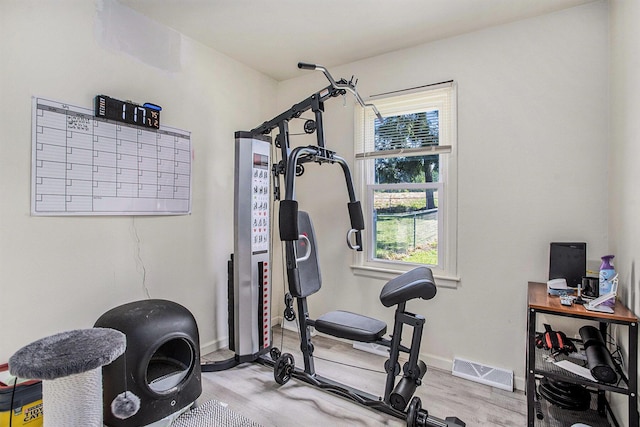320 E Dr, Marshall, MI 49068 - exercise room with plenty of natural light and light wood finished floors