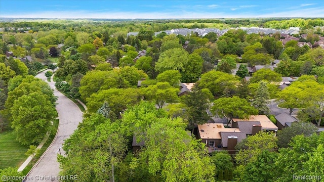 2 Eastbury Ct, Ann Arbor, MI 48105 - drone / aerial view