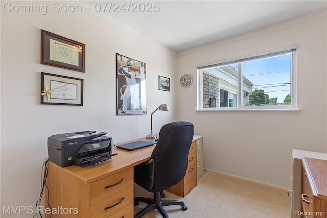 12077 Brougham Dr, Sterling Heights, MI 48312 - photo 11