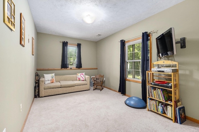 6177 Heathcross Dr, Hudsonville, MI 49426 - living area featuring plenty of natural light, carpet, and a textured ceiling