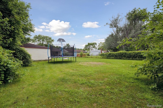 15447 Taft St, Westland, MI 48174 - view of yard featuring a trampoline