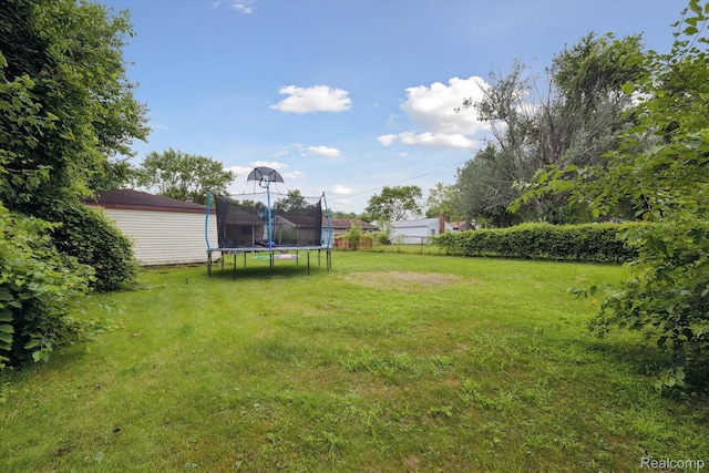15447 Taft St, Westland, MI 48174 - view of yard featuring a trampoline