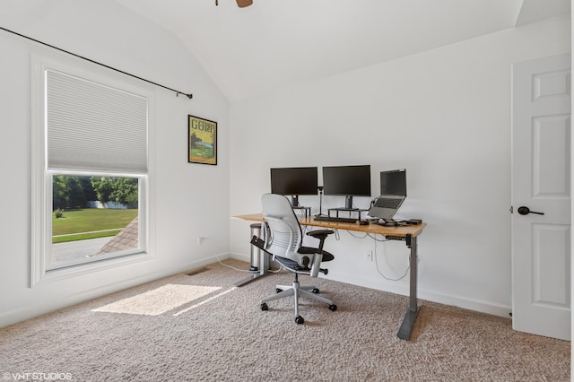 6044 Wabash Ln, Stevensville, MI 49127 - carpeted office space with vaulted ceiling and baseboards