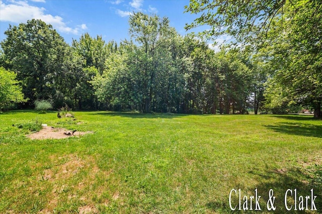 139 W Grand Ledge Hwy, Sunfield, MI 48890 - view of green lawn featuring a view of trees