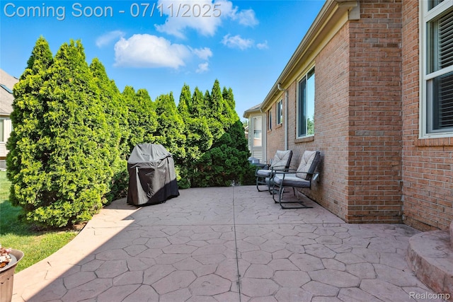 52221 Giuliano Ln, Macomb, MI 48042 - view of patio featuring grilling area