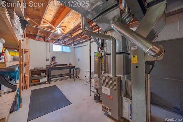 52221 Giuliano Ln, Macomb, MI 48042 - below grade area with gas water heater