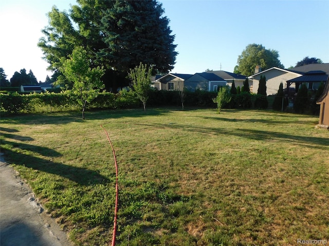 2238 Nadine Dr, Sterling Heights, MI 48310 - view of green lawn