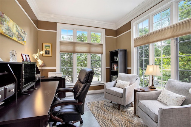 106 Kingsbury Ct, Battle Creek, MI 49015 - office area with crown molding