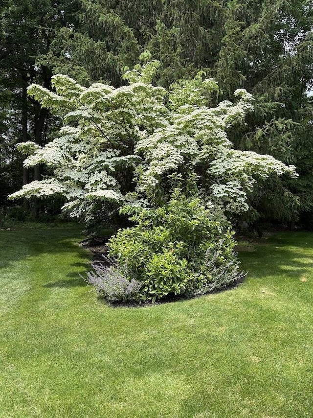 106 Kingsbury Ct, Battle Creek, MI 49015 - view of grassy yard with a view of trees