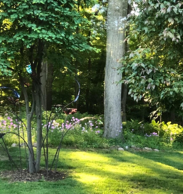106 Kingsbury Ct, Battle Creek, MI 49015 - view of yard