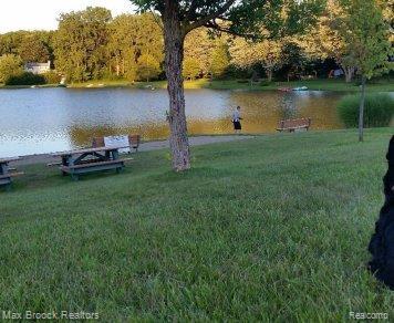 6810 Killarney Dr, Troy, MI 48098 - water view featuring a forest