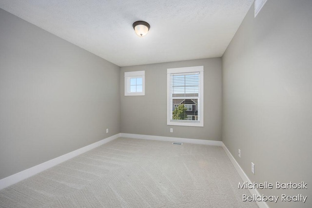 6725 Promenade St NE Unit 13, Rockford, MI 49341 - empty room featuring light carpet and a textured ceiling