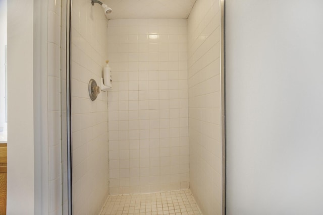 4213 Silverleaf Dr, Ypsilanti, MI 48197 - full bathroom featuring a shower stall