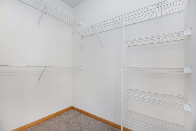 4213 Silverleaf Dr, Ypsilanti, MI 48197 - walk in closet featuring carpet floors