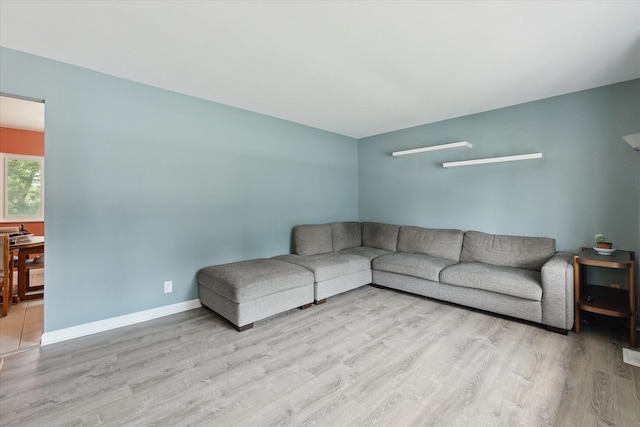 910 Newport Dr, Fenton, MI 48430 - living room featuring wood finished floors