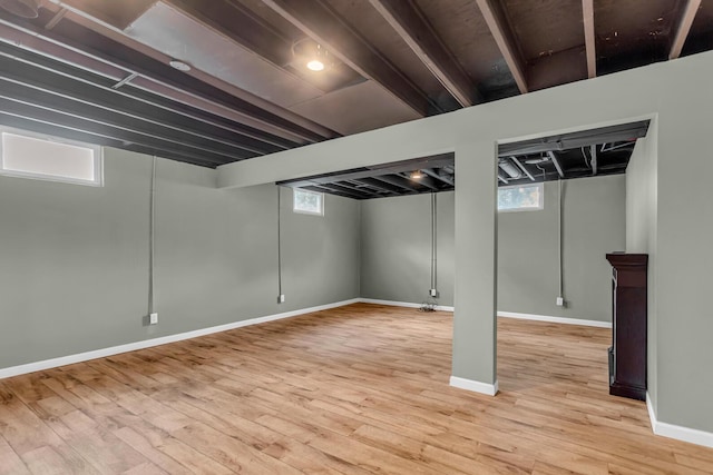 1615 Bunting Rd, Jackson, MI 49201 - below grade area with light wood finished floors