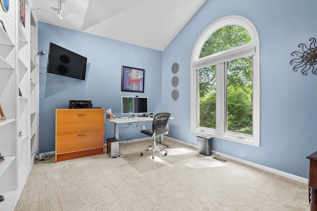6794 Brickleton Ct, Portage, MI 49024 - carpeted office space with track lighting and vaulted ceiling