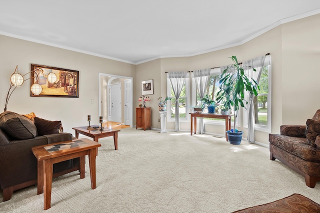 6794 Brickleton Ct, Portage, MI 49024 - carpeted living room with crown molding and baseboards