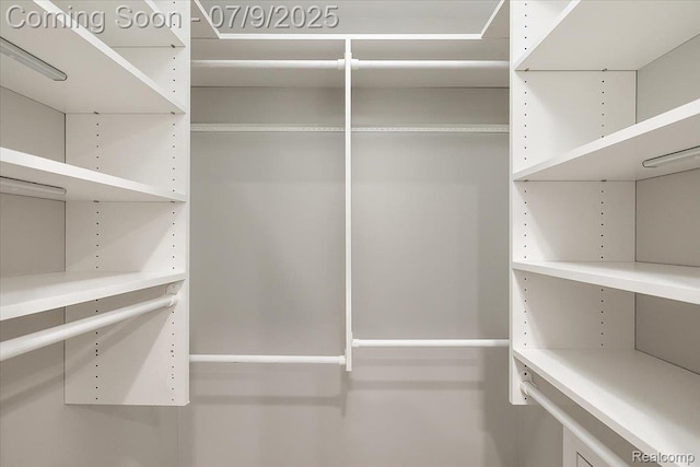 6591 Tree Knoll Dr, Troy, MI 48098 - view of spacious closet