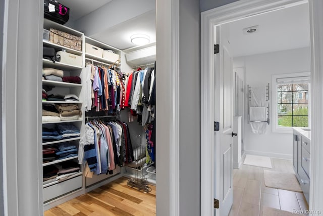 900 Mcdonald Dr, Northville, MI 48167 - view of walk in closet