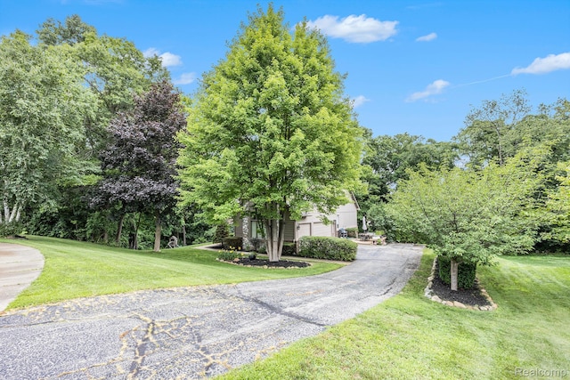 9780 Oak Valley Dr, Clarkston, MI 48348 - view of asphalt driveway