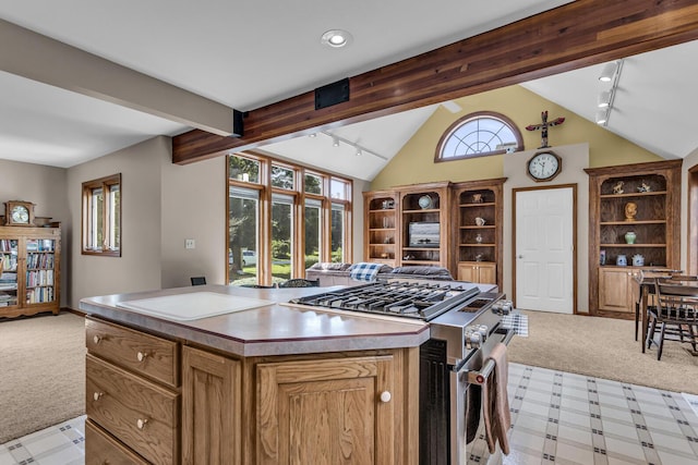 3416 Northlands Ave, Jackson, MI 49201 - kitchen featuring light carpet, stainless steel gas stove, open floor plan, a kitchen island, and open shelves