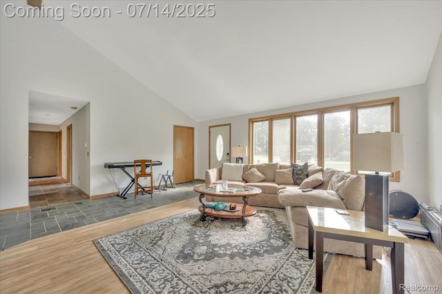 3117 Maumee Trl, Clyde, MI 48049 - living room featuring high vaulted ceiling and wood finished floors