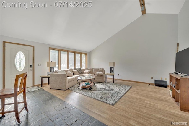 3117 Maumee Trl, Clyde, MI 48049 - living room with plenty of natural light, high vaulted ceiling, and light wood-style floors